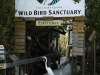 Das Wild Bird Sanctuary in Tavernier, FL 33070, Florida Keys